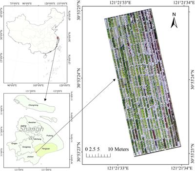 Estimating the frost damage index in lettuce using UAV-based RGB and multispectral images